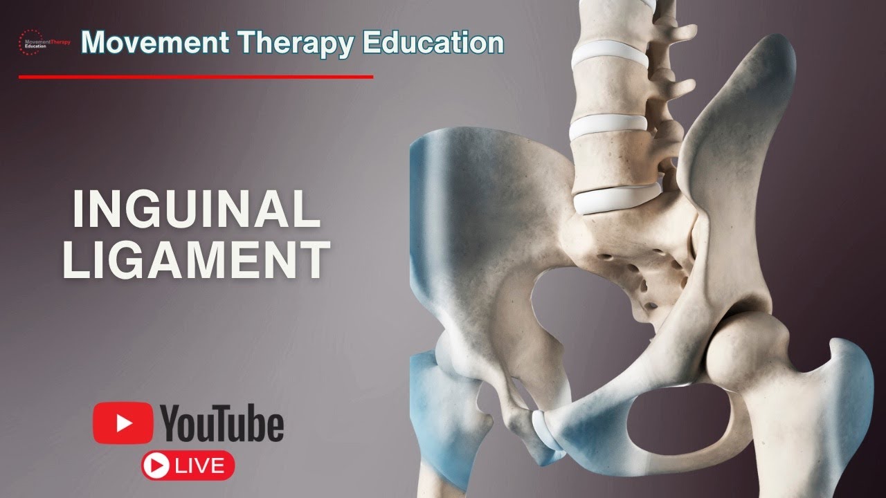 The purpose of the inguinal canal and how inguinal hernia's are created