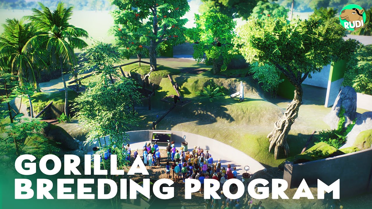 Gorilla Breeding Program - Planet Zoo Lets Play Franchise Mode