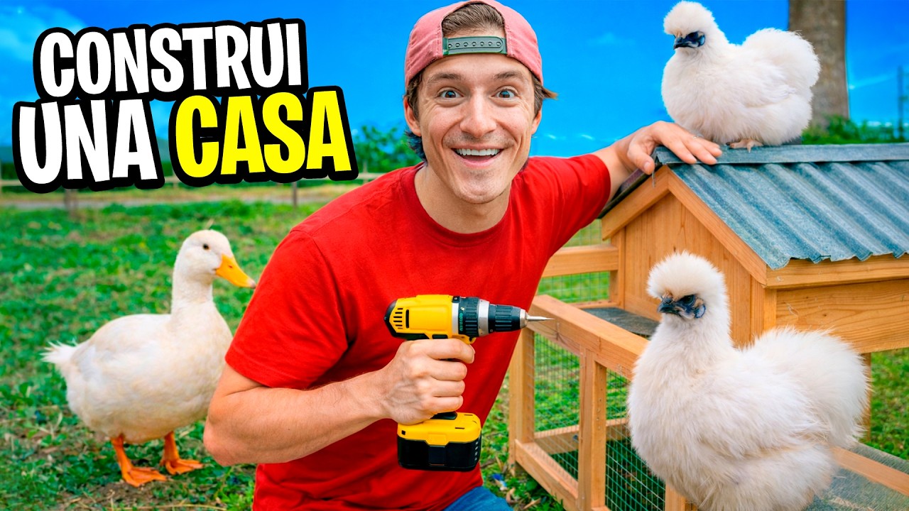 LE CONSTRU&Iacute; UNA MANSION A MIS GALLINAS !!