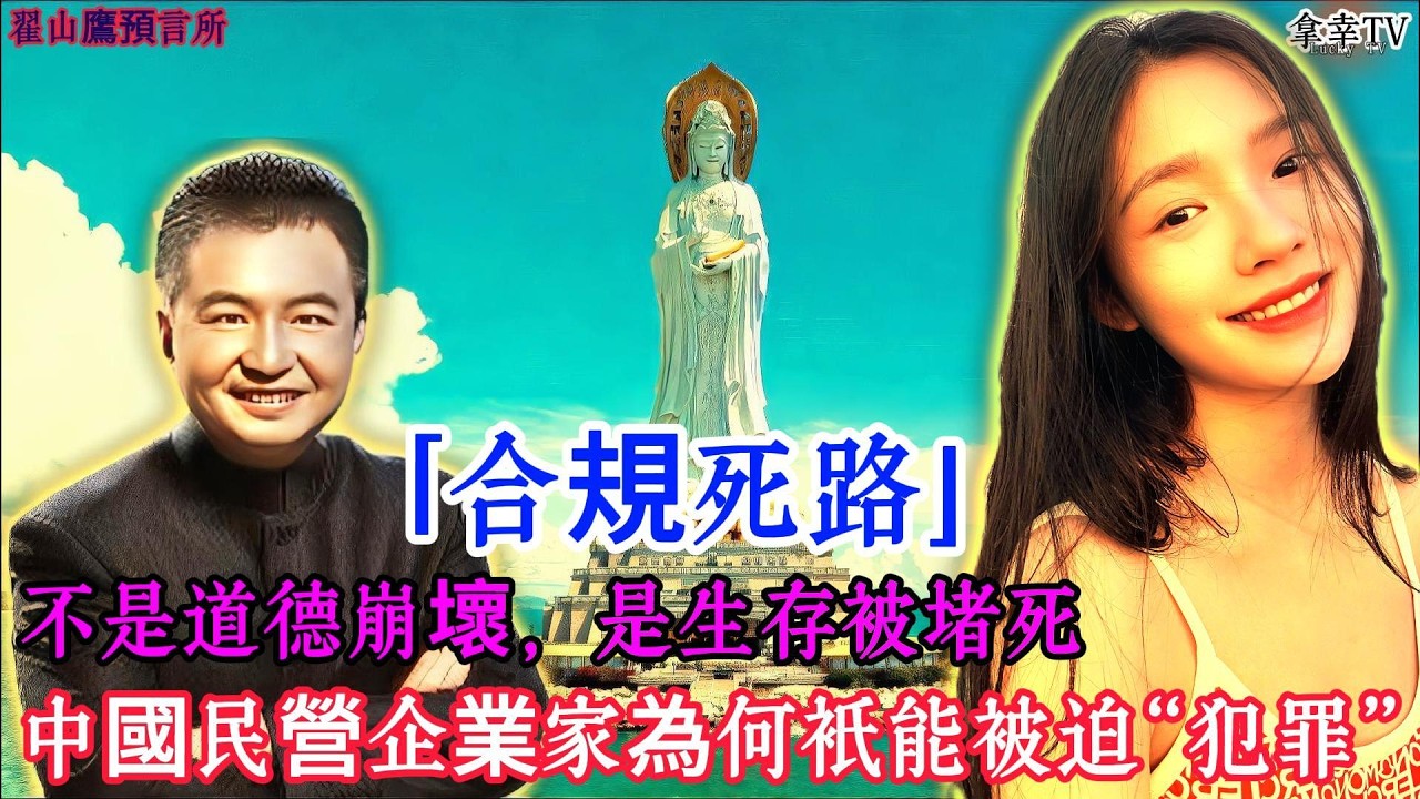 🟥⚠️🏭📉🏴 678｜翟山鹰：中国的民营企业家只能被迫&ldquo;犯罪&rdquo;？｜营商环境压力｜企业生存困境｜制度挑战#民营企业 #营商环境 #企业困境 #经济结构 #市场环境 #民生 #翟山鹰
