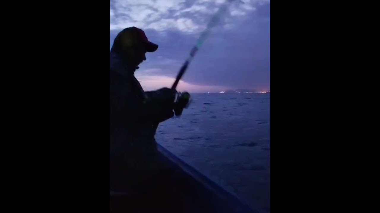 صيد سمكة التونة عندة 40kg اتمنى ان يكون هدا الموسم موسم الخير 💪🐟🇲🇦💯