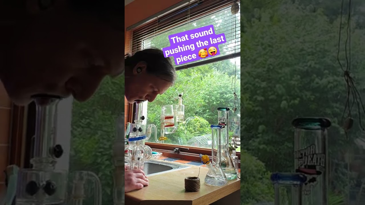 I don't need to hide my bongs from anyone