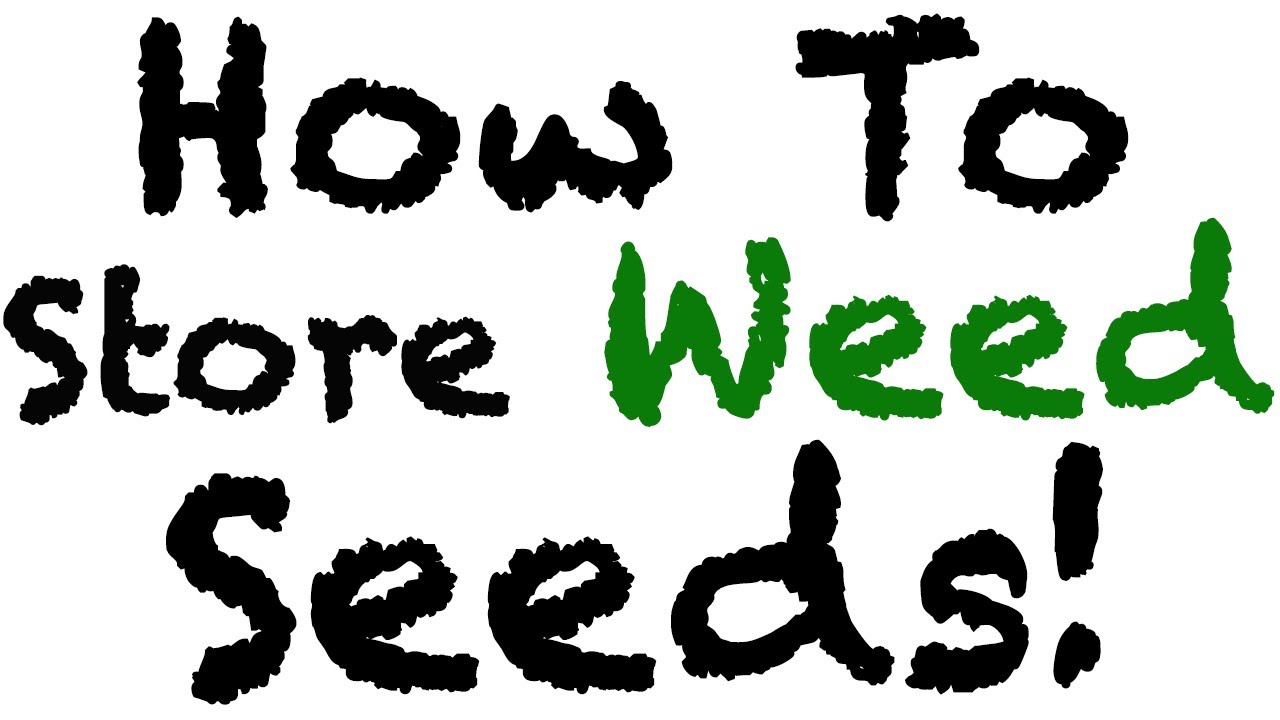 Store Cannabis Seeds Properly! How To Keep Marijuana Seeds Safely.