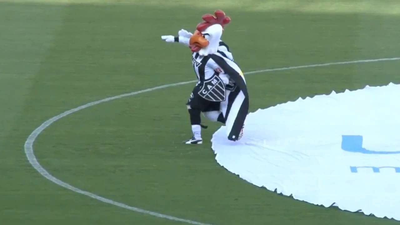 Galo Doido em A&ccedil;&atilde;o