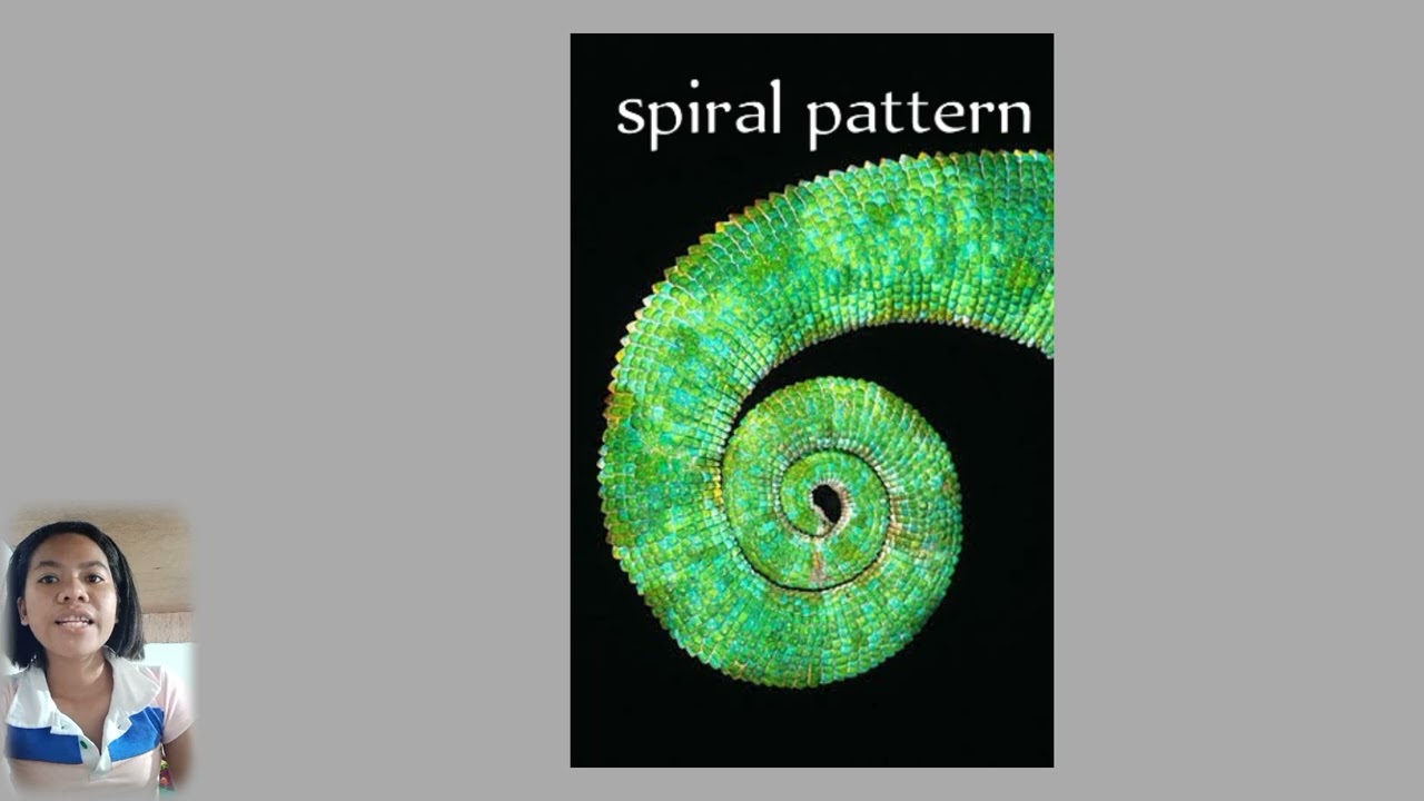 Four Types of Pattern in Nature
