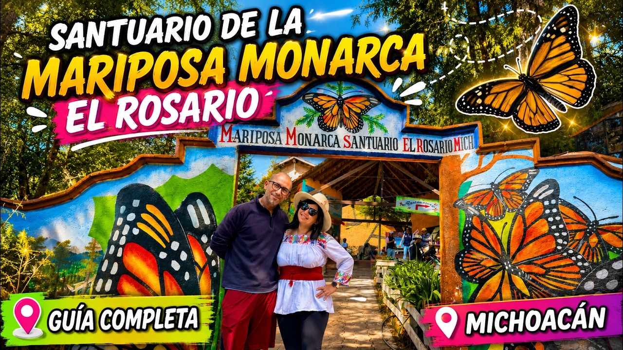El Santuario de la MARIPOSA MONARCA mas grande del mundo  El Rosario en Michoacán