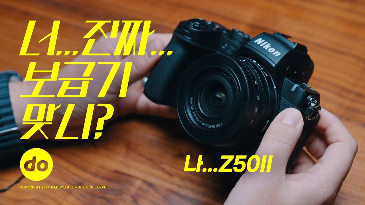 첫 카메라를 고민중인 그대에게… 니콘 Z50II 리뷰