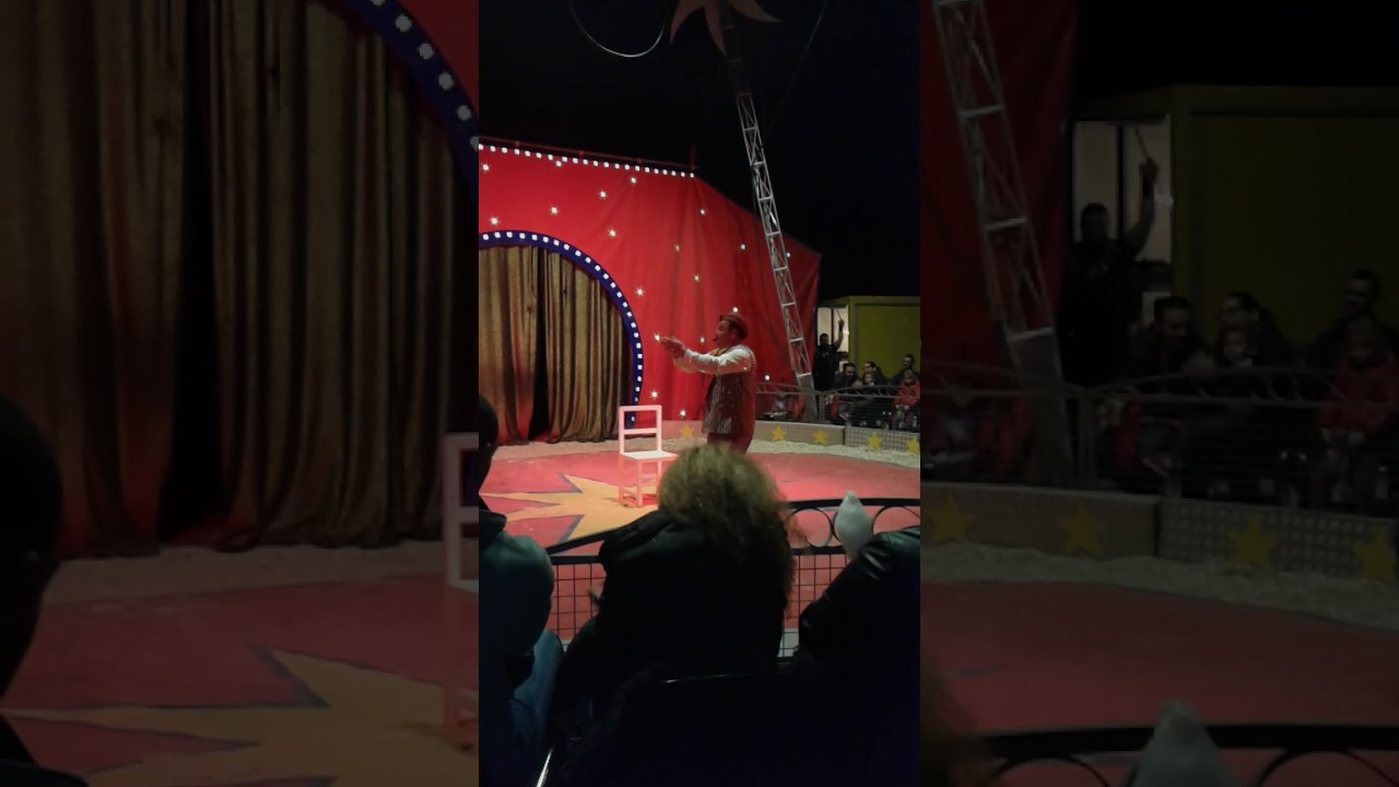 Cirque boletti 2017