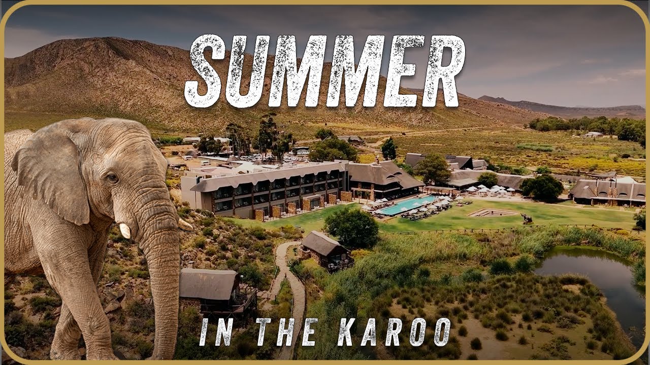 Summer Safari at Aquila | Big 5 Safari Near Cape Town