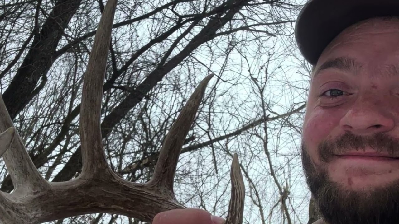 Shed hunting 2026 Big base 5 point 