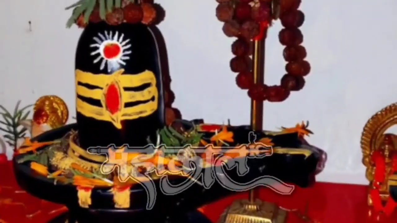 8 फरवरी फाल्गुन रविवार सप्तमी तिथि। करें कार्य सिद्धि का अचूक उपाय। #रविवार#सप्तमी#pradeepmishraupay