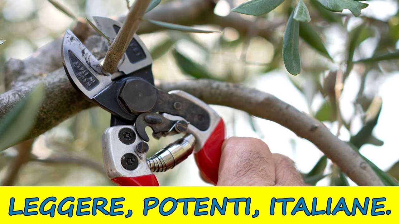 FALKET 2012 EVO. Forbici da potatura professionali Made in Italy per giardinaggio!