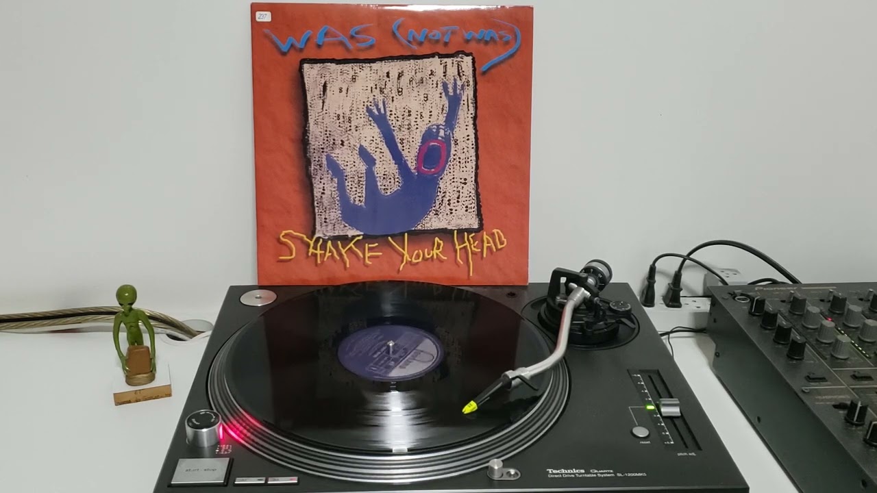 Was (Not Was) - Shake Your Head