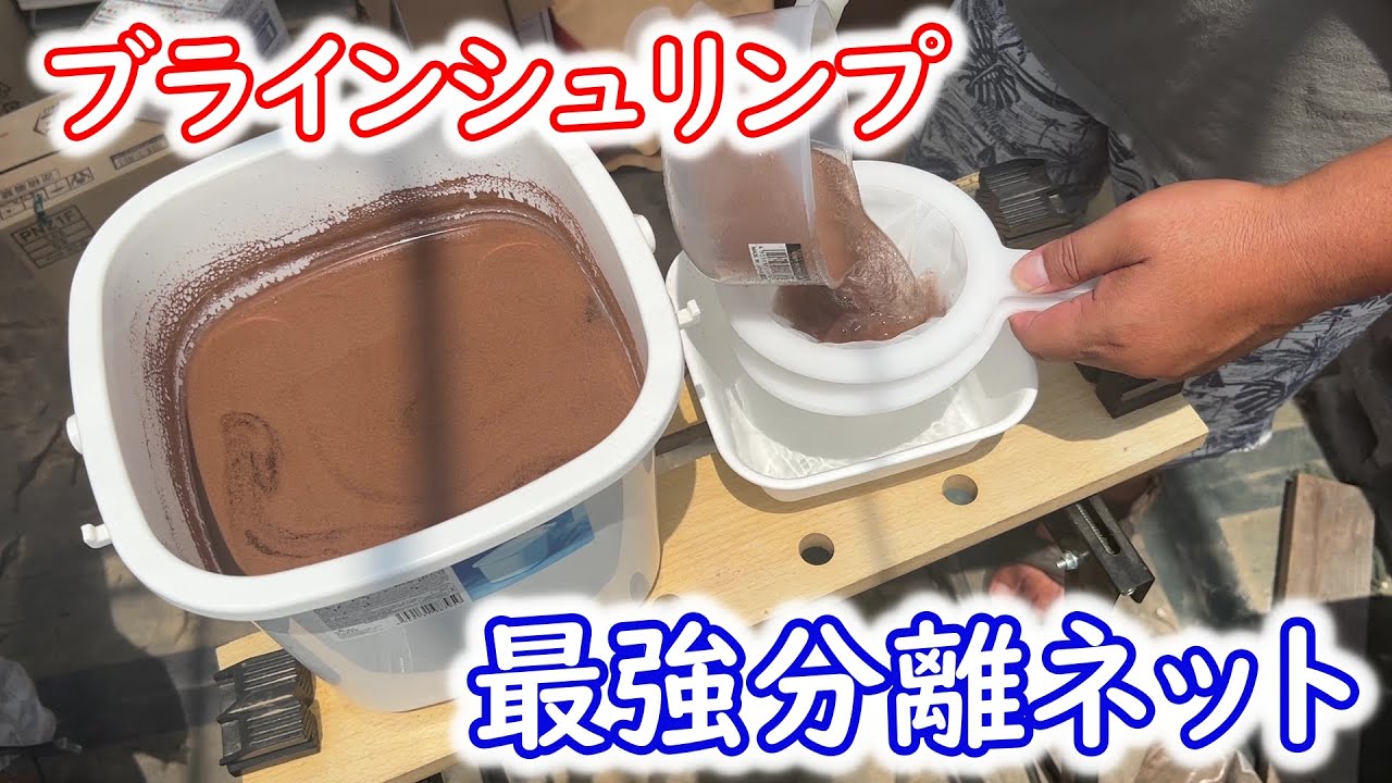 【めだか】ブラインシュリンプの分離が超絶簡単に！最強分離ネット。Ｂ型おやじ