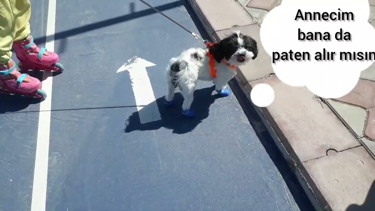 Parkta Paten Keyfi