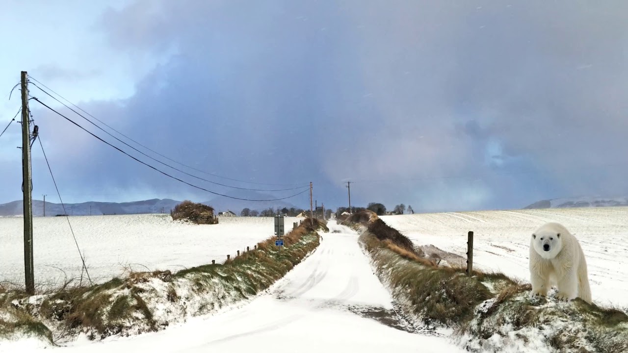 The Beast from the East hits the Cooley Peninsula - Day 1