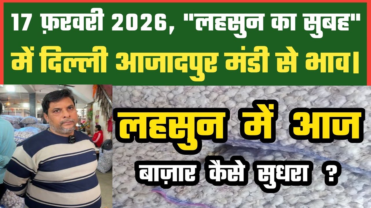 लहसुन में आज बाज़ार बन गया ? Azadpur Delhi Mandi Today 17-02-2026 को बने ऐसे Garlic Price DMT TV