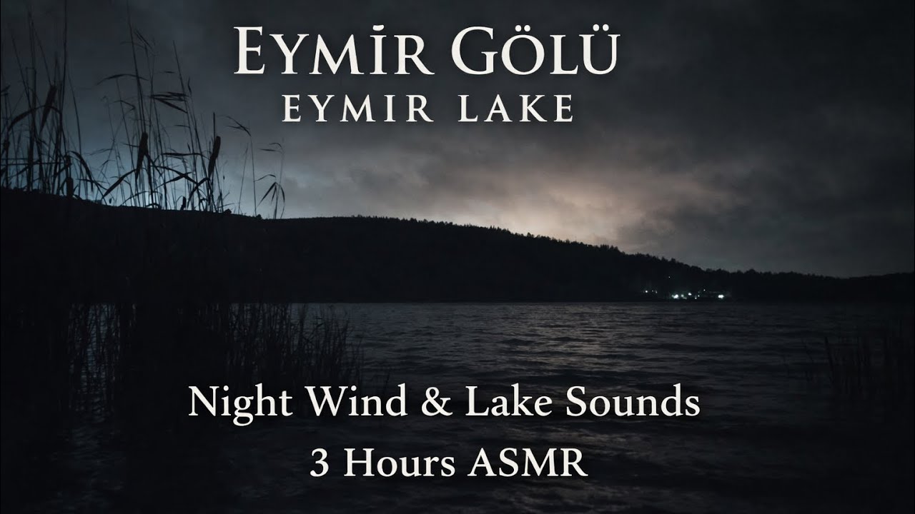 Eymir Lake at Night 🌙 Wind & Water Sounds for Deep Sleep | 3 Hours ASMR