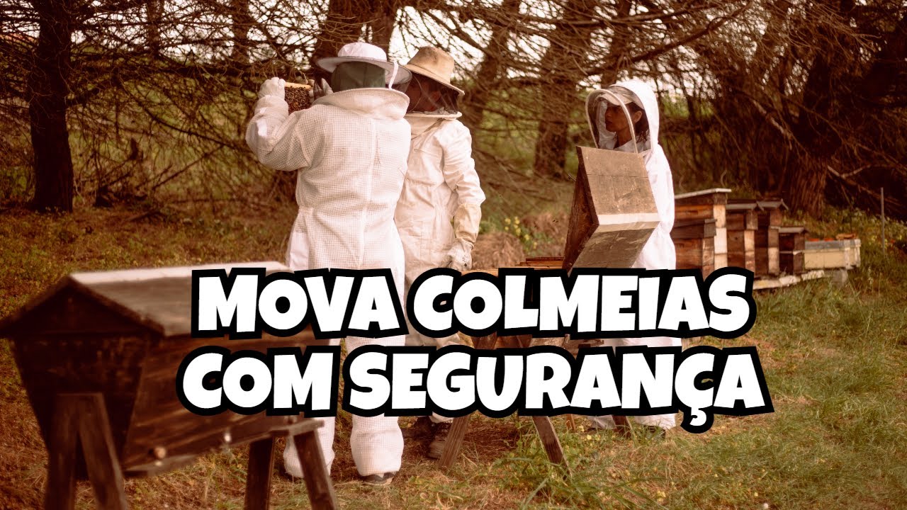 PARA de perder abelhas quando moves uma colmeia! STOP Losing Bees When Moving Your Hive!