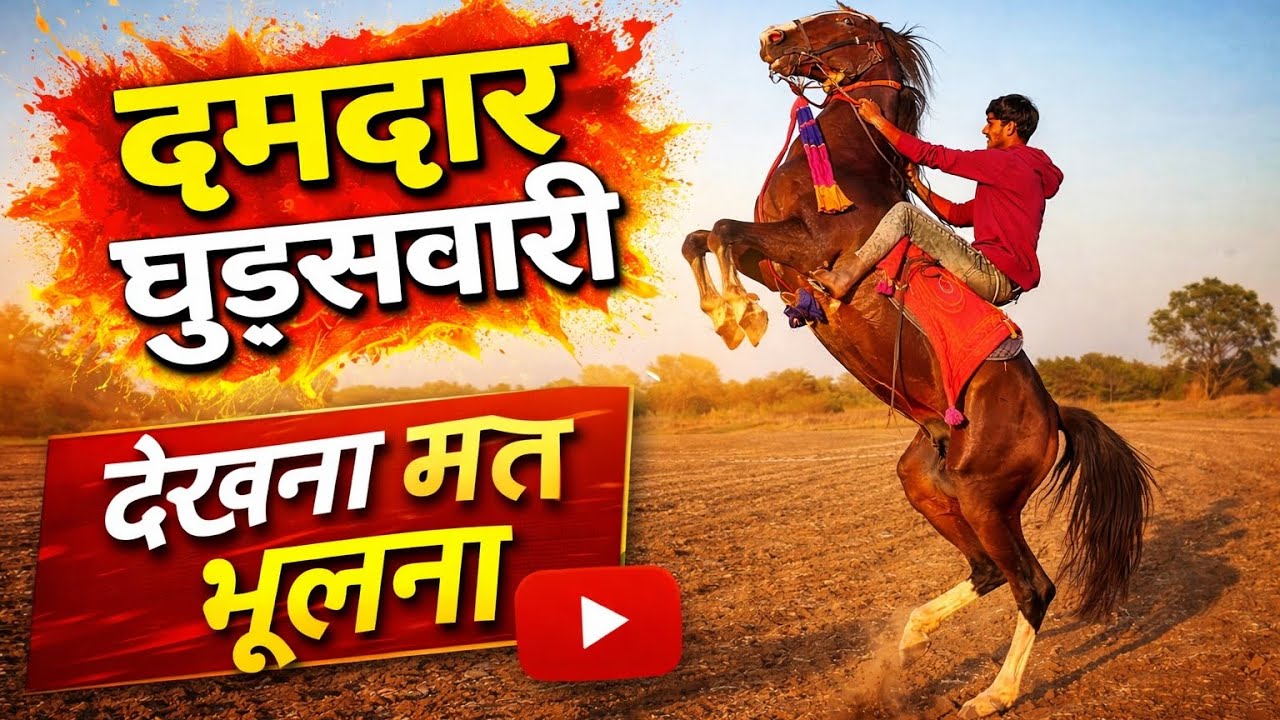 #horse