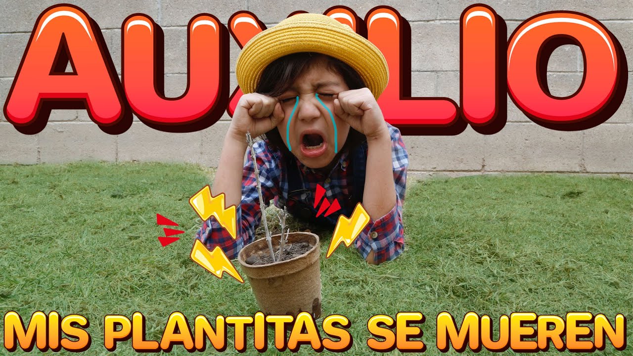 No Puede Ser! Algo muy MALO pasa con MIS PLANTITAS