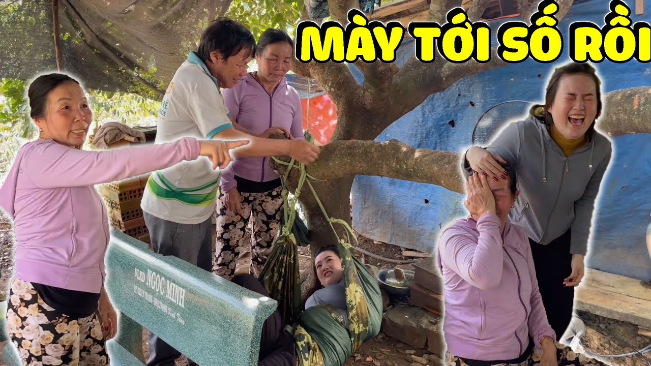Yến Báo Bị Cha Con Ba Báo Cho Lên Dĩa | Hải Ka Vlogs