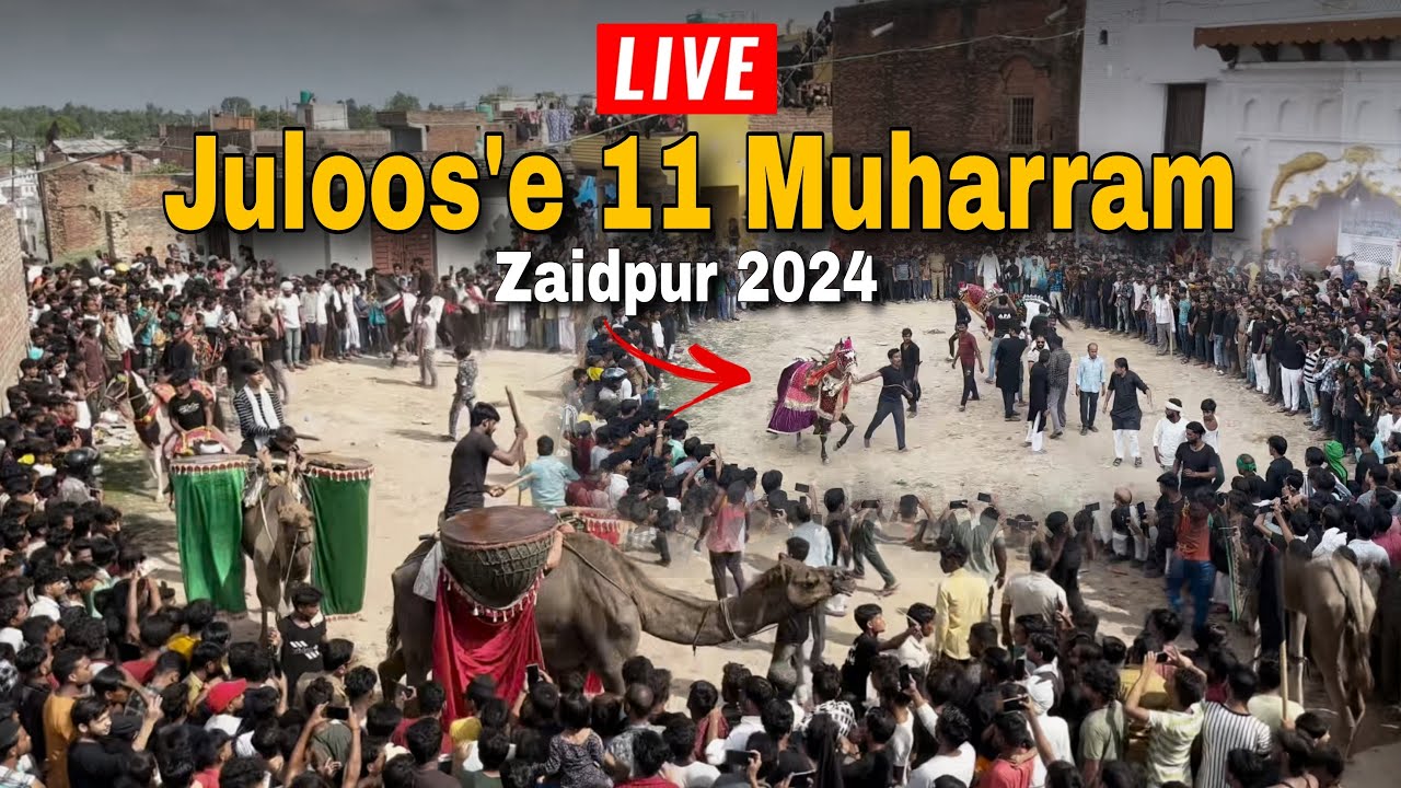 🔴Juloos'e 11 Muharram | Zuljanah Ki Ziyarat | Juloos'e 11 Muharram Zaidpur 2024