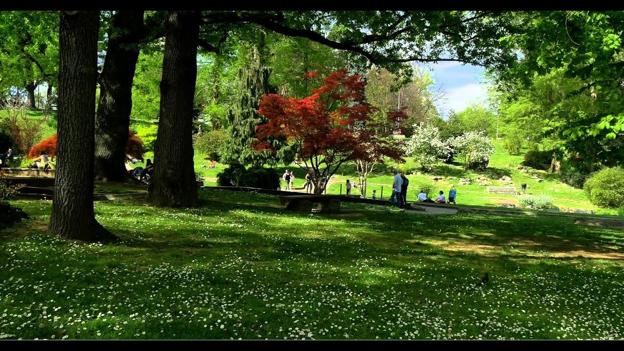 V edizione degli Stati Generali del Verde Pubblico. Torino-Milano, 21 Novembre 2019