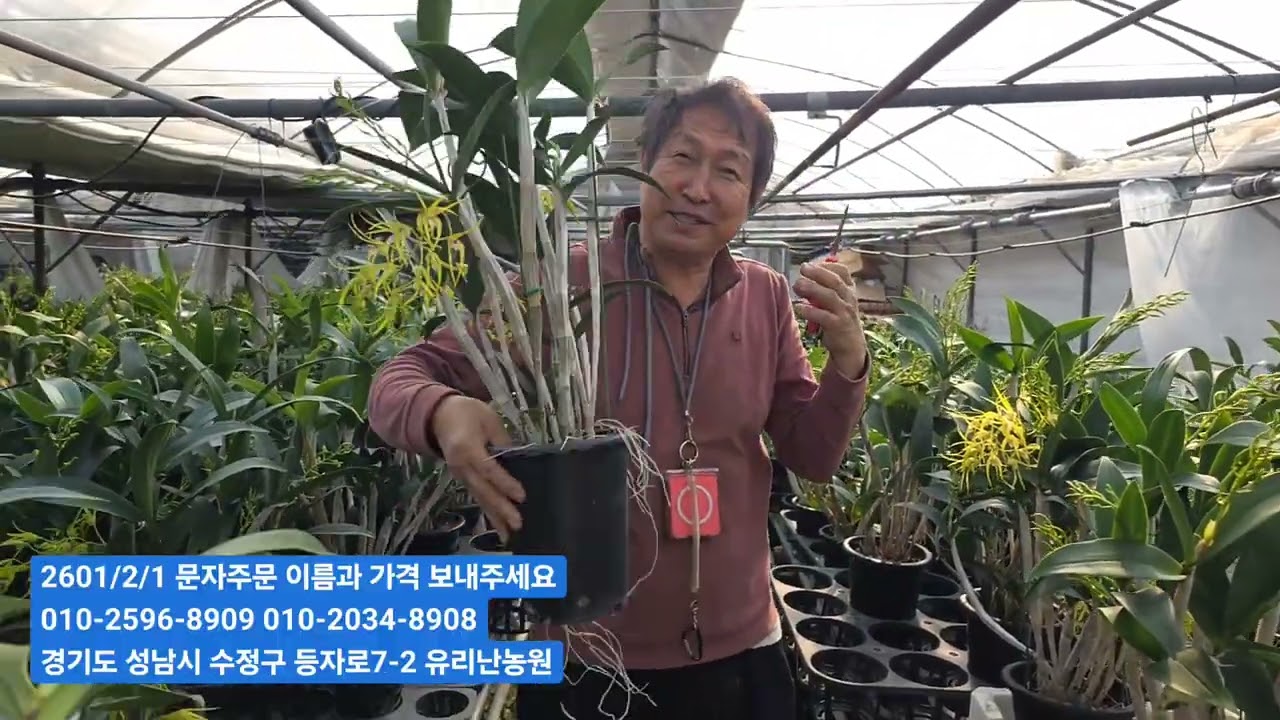 힐다폭슨 이렇게 하면 내년에 꽃이 두배로 핌니다