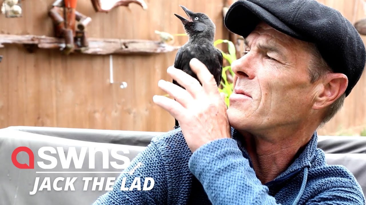 UK man and a jackdaw form an adorable bond - and even go on bike rides together | SWNS