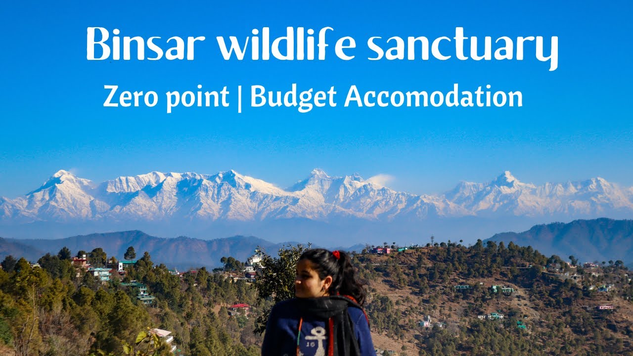 Complete guide *Binsar wildlife Sanctuary*🦥 ZERO POINT | Budget accommodation