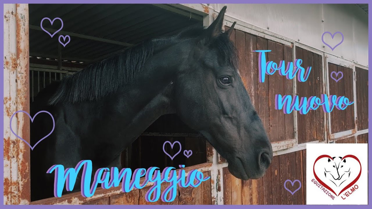 Tour del nuovo maneggio ♡