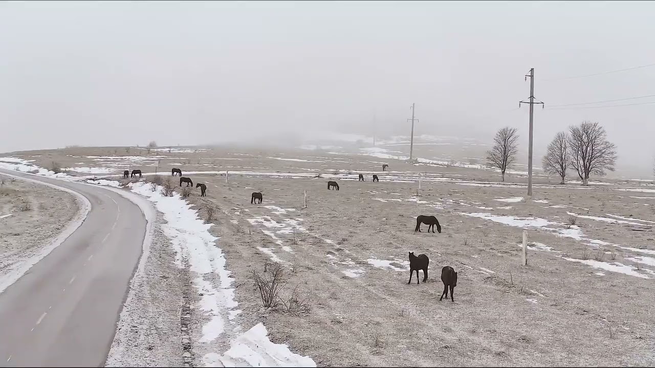 Попытка (не очень удачная) добраться зимой к Джилы-Су