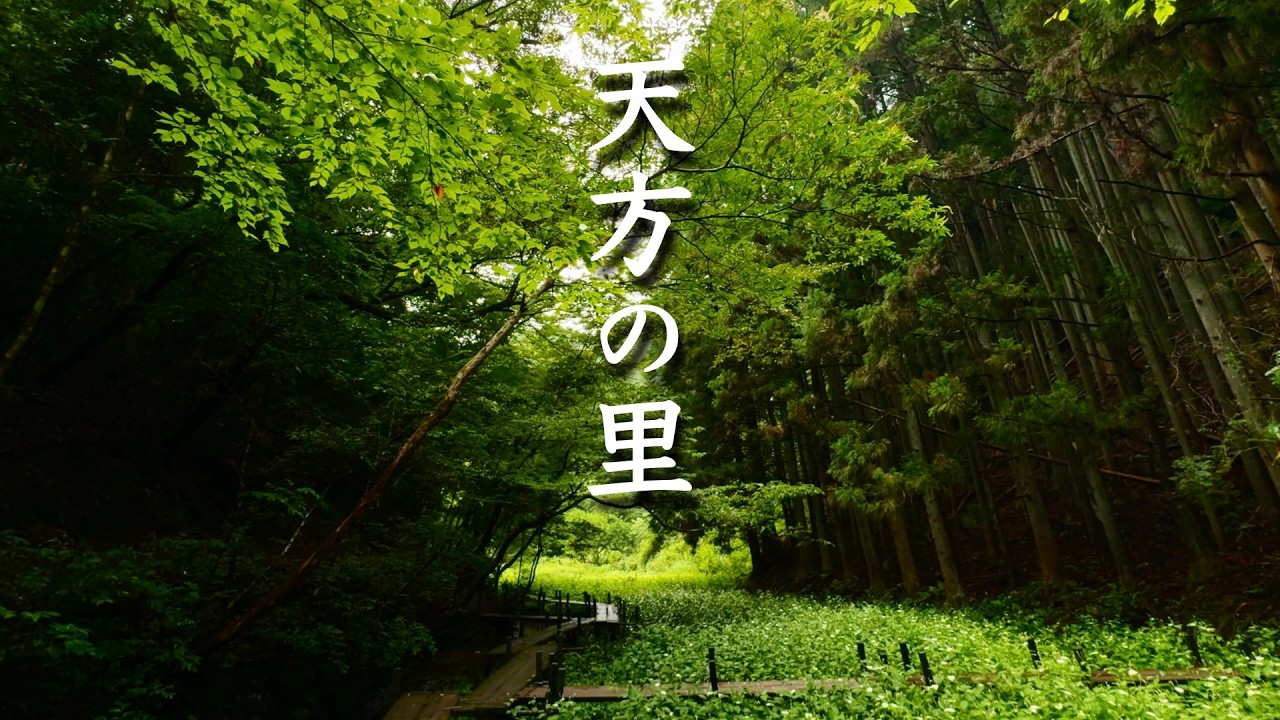 【半夏生の小径】秘境・てんぽうの里めぐり｜遠州森町鍛治島
