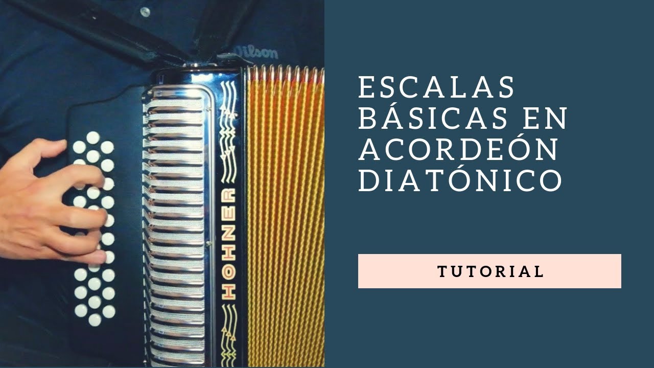 Escalas básicas en acordeón de botones