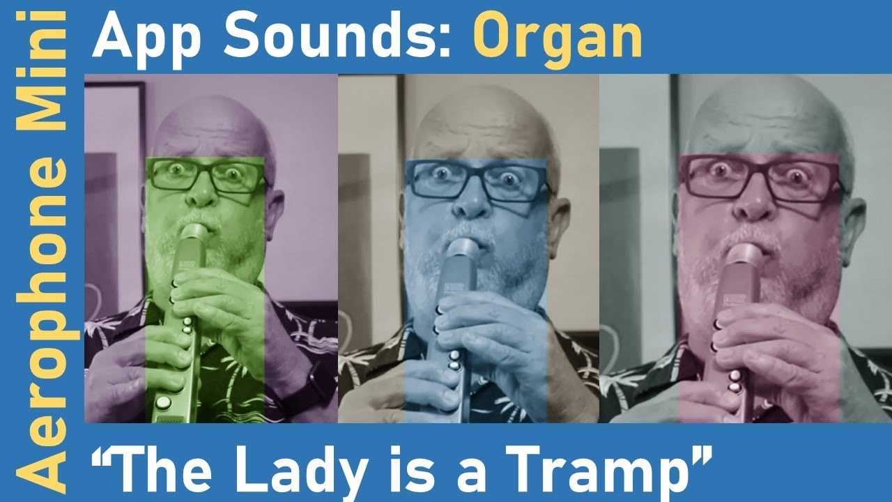 Roland Aerophone AE-01 Mini App Sounds: Organ - The Lady is a Tramp