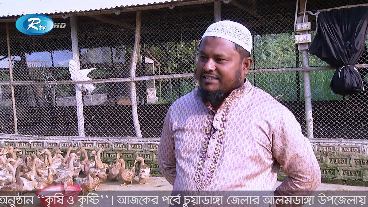 ৪ ভাই মিলে গড়ে তুললো বিশাল হাঁসের খামার | Krishi o Krishti | Episode 245 | Rtv Krishi
