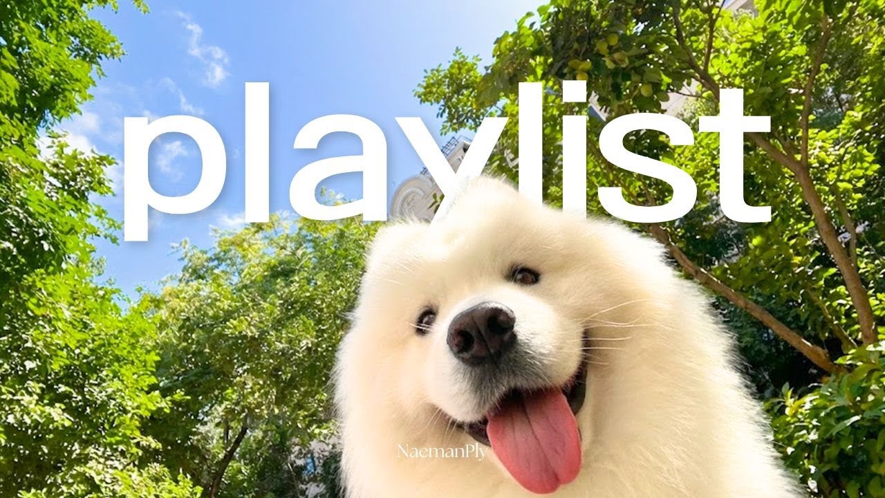 Playlist 꿀꿀한 기분 싹 날려버릴 신나는 노래 ☁️🌈 | 하루 종일 듣기 좋은 노래 | 중간광고없는