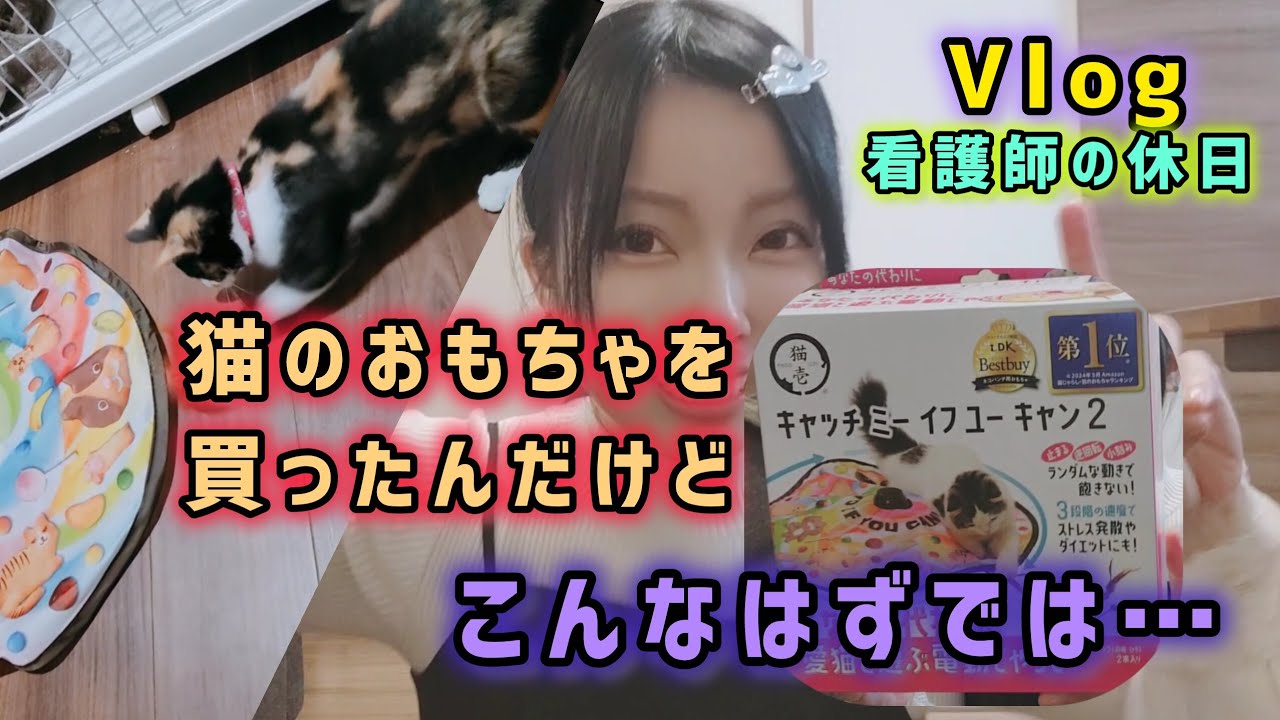 猫のオモチャを買ったんだけど、大変なことになった