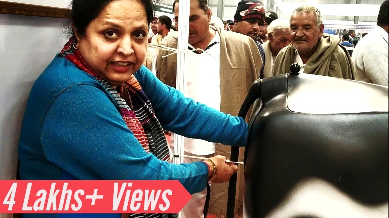 कृत्रिम गर्भाधान सिम्युलेटर भारत मे पहली बार Cow Model - Haryana Veterinary institute