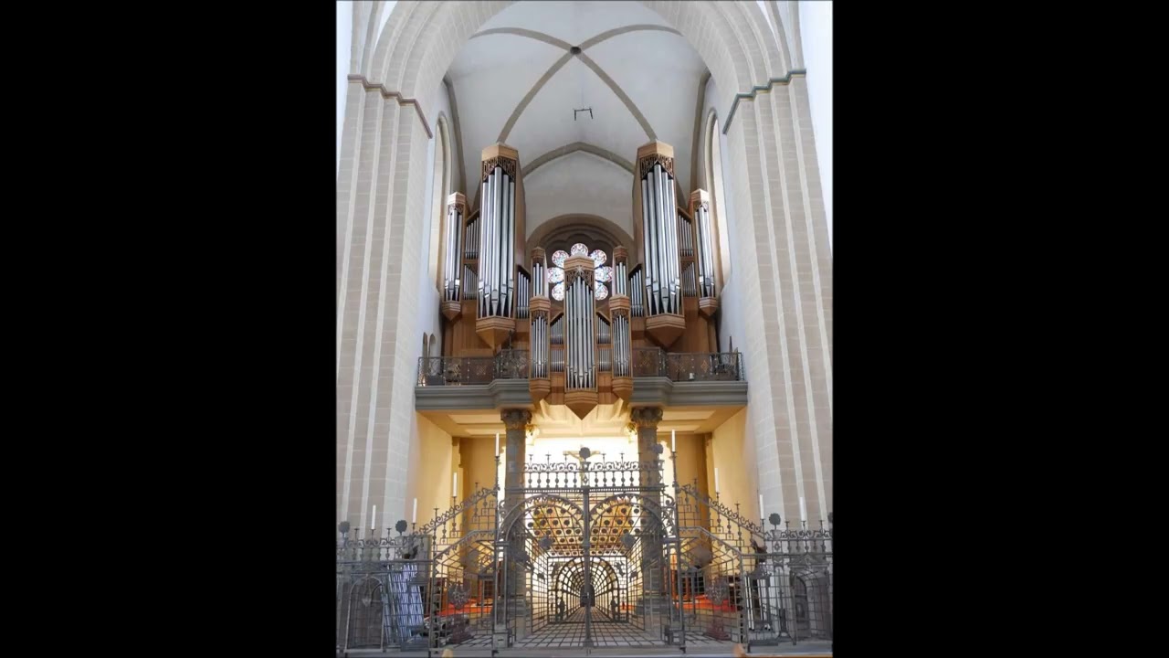 Lukáš Petřvalský: Final Fugue (25. 1. 2026)