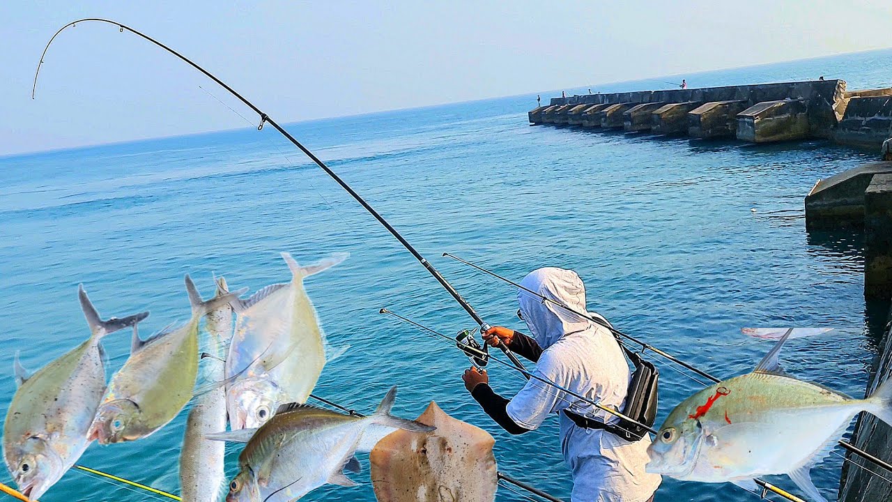 Full strike Gt !!! baru juga datang umpan dapet minta kalau udah rejeki gak akan ke tukar