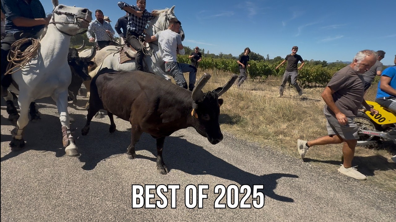 BEST OF 2025 ABRIVADO LONGUE