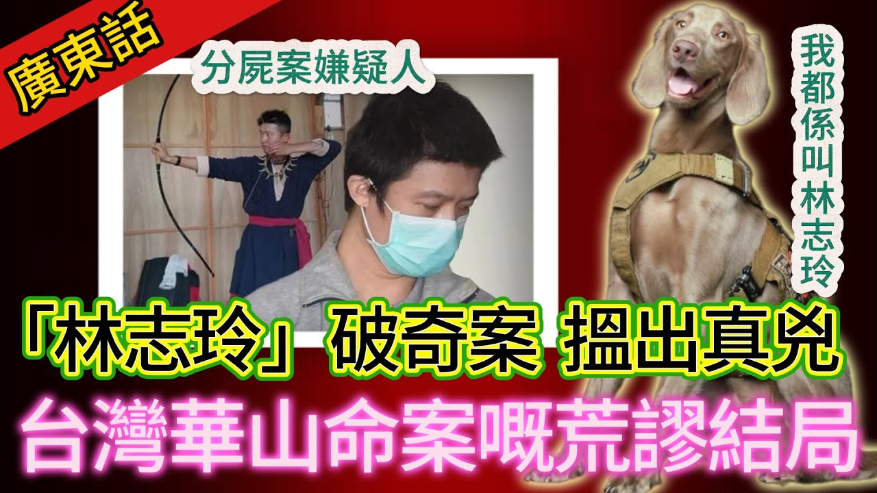 【真實案件】| 搜救犬「林志玲」破奇案！女仔去文創園區一去冇回頭，靠搜救犬搵出真兇！但係結局竟係咁？#犯罪#案件解說