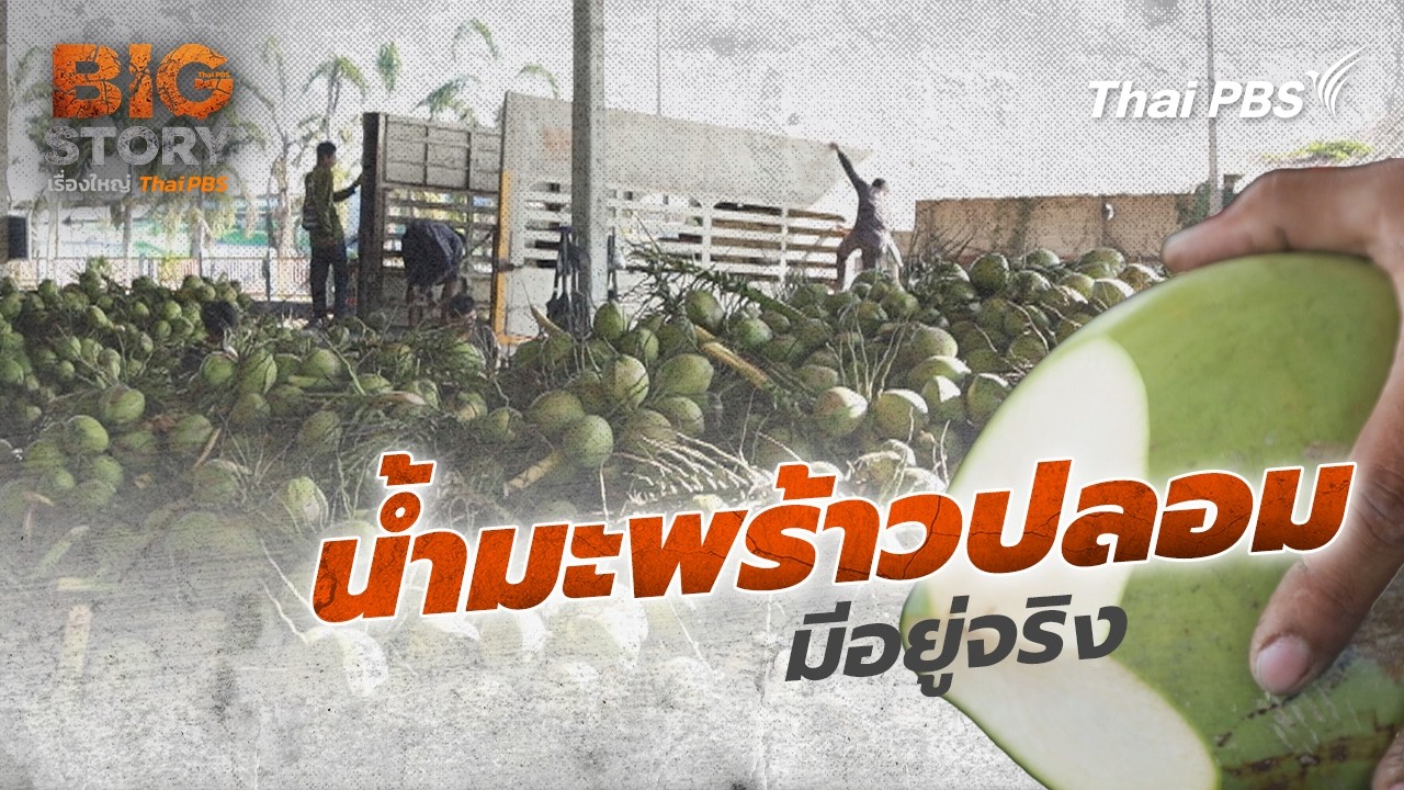 น้ำมะพร้าวปลอมมีอยู่จริง | Big Story เรื่องใหญ่ Thai PBS