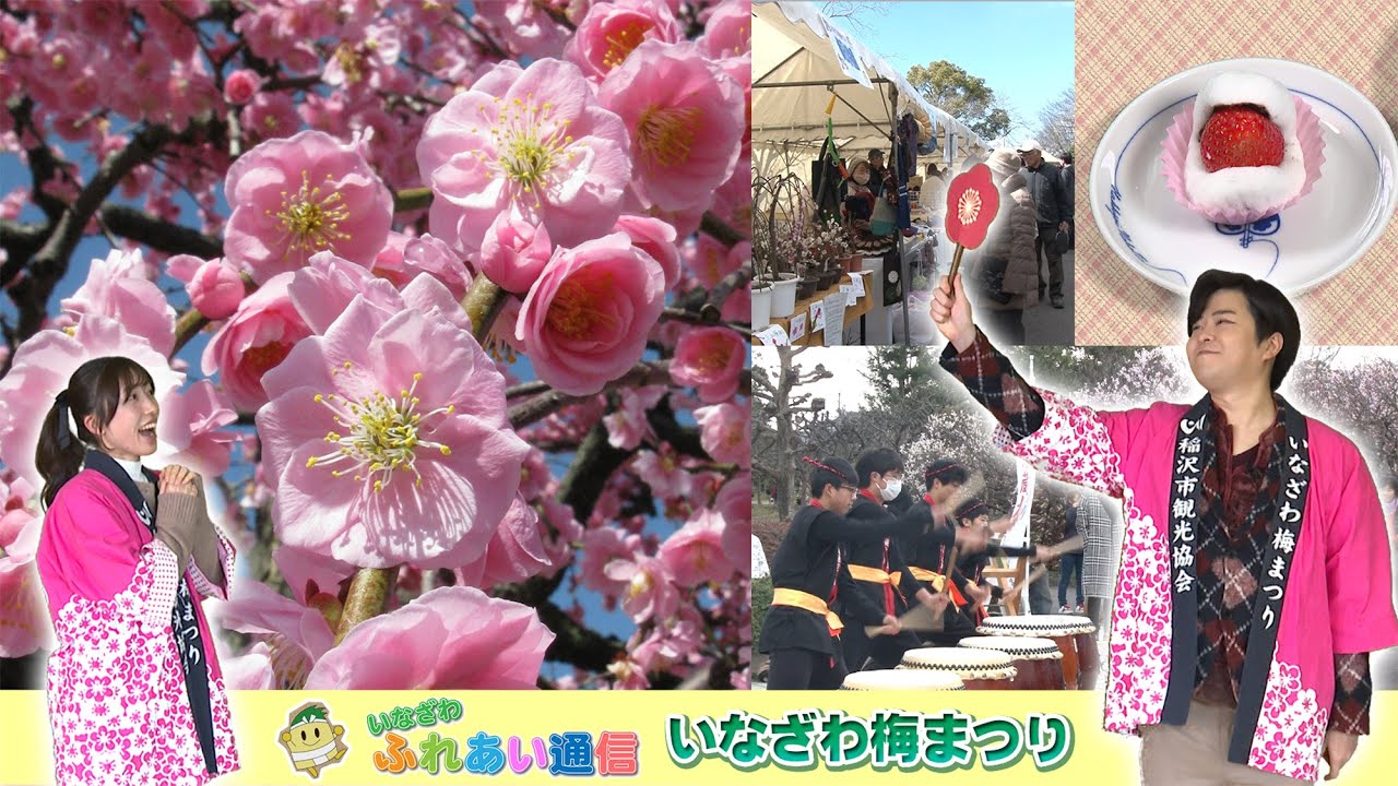 「いなざわ梅まつり」ふれあい通信　令和７年２月後半号