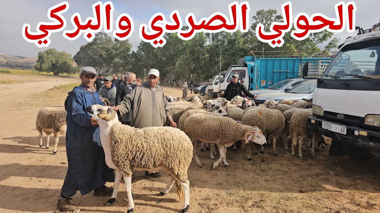 مباشرة ‼️من سوق الخميس سلا 🇲🇦السهول 2025\05\22 مع الأثمنة الحولي فرجة ممتعة 👍👍