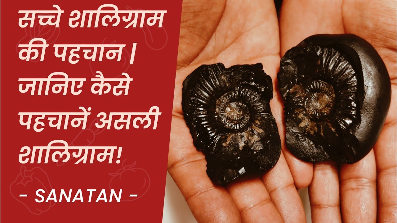 असली शालिग्राम की पहचान | How to identify a real shaligram stone ? | #shaligrama #shaligram