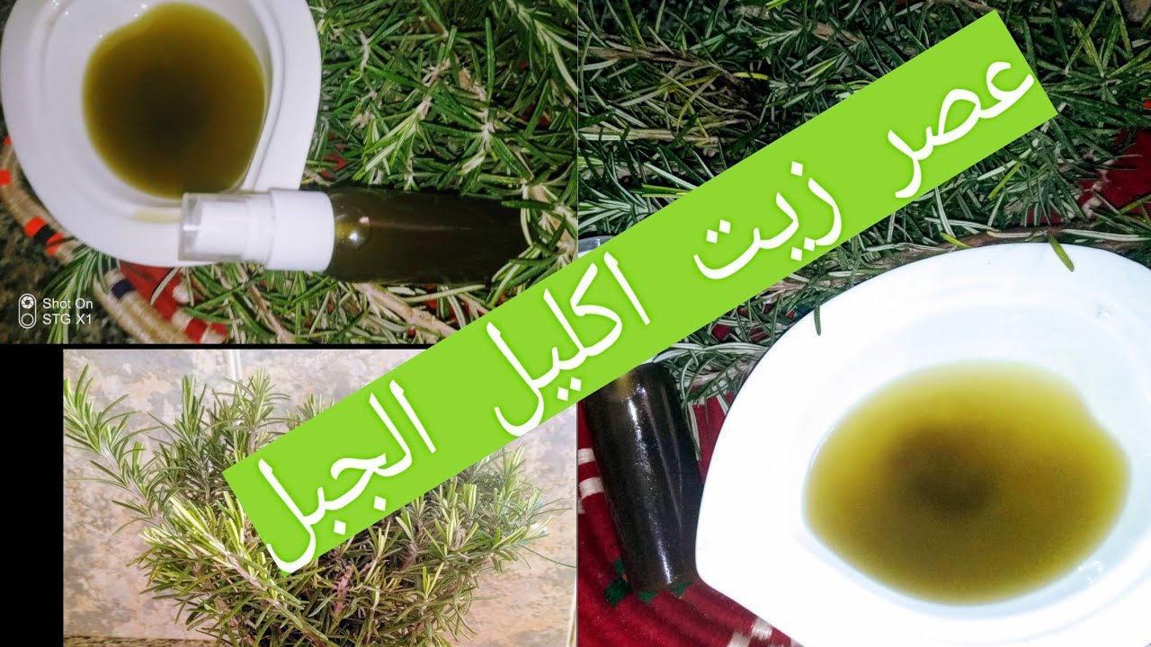 طريقة تحضير زيت اليازير اكليل الجبل في البيت لبشرة صحية وشعر قوي