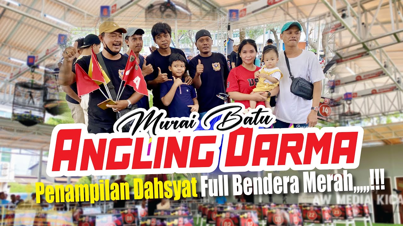 PENAMPILAN DAHSYAT....!!! MURAI BATU ANGLING DARMA DI ROAD TO JAYAKARTA CUP 2 MASTERPIECE ARENA